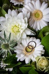 Ringen
